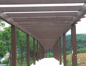 仿木廊架工程案例：郴州四清湖水上乐园